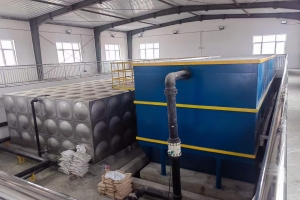 一體化全自動(dòng)凈水裝置